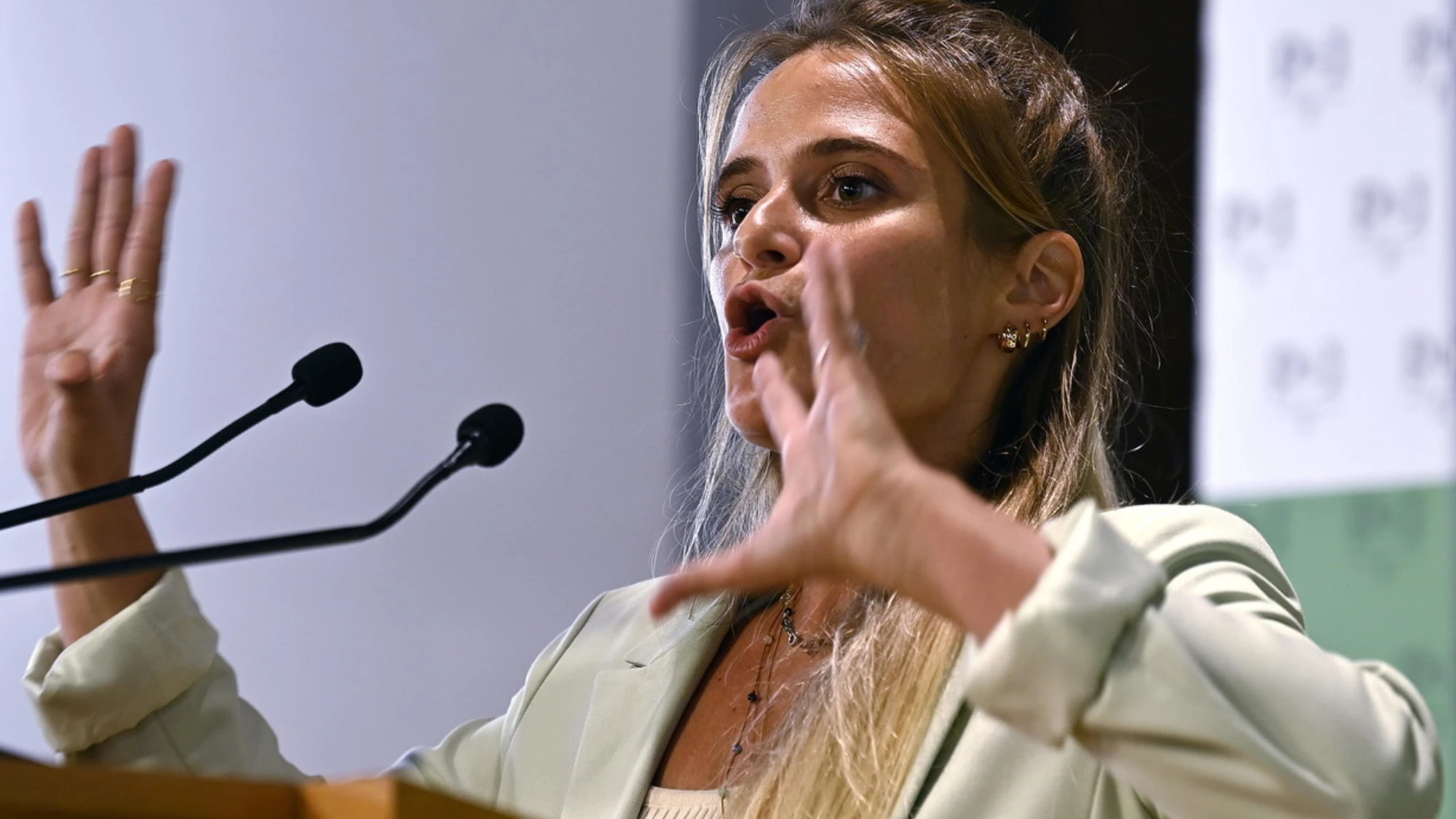 Sea Watch, Giorgia Linardi esalta l'asse toghe-ong: "Il diritto dà ragione alla disobbedienza civile"