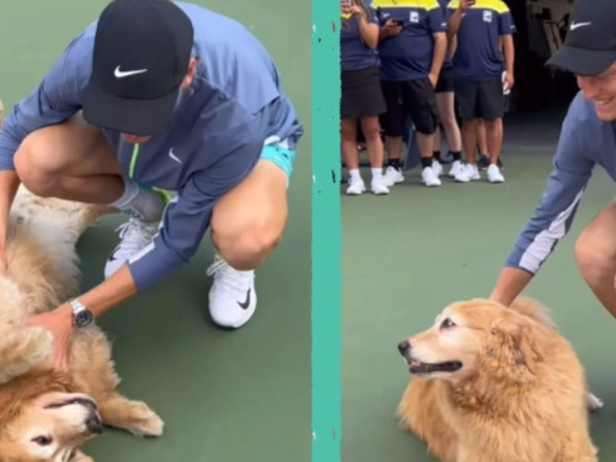 Jannik Sinner, "5 milioni di dollari per i cani": mistero sulla donazione