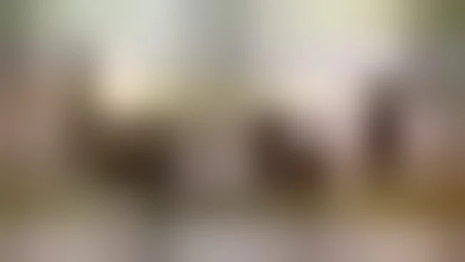https://media.liberoquotidiano.it/sbirVXScpeUA8vSqwLcHMR9OywUMMZ9wt8w2_ucw2PM/width:800/quality:90/aW1hZ2VzLzIwMjUvMTAvMDkvMTU0NDI5NzA1LTY2NjUyYTEzLWNjZjctNDliYS04MGQzLTc4ZTE3MjE2YzM1ZS5qcGc.webp