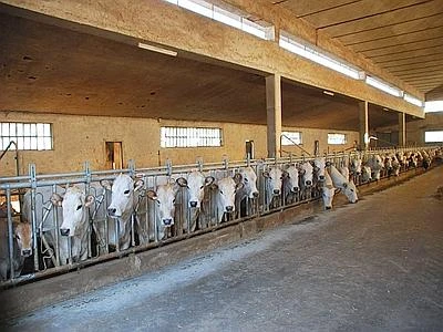 Cuneo, 5 lavoratori in nero