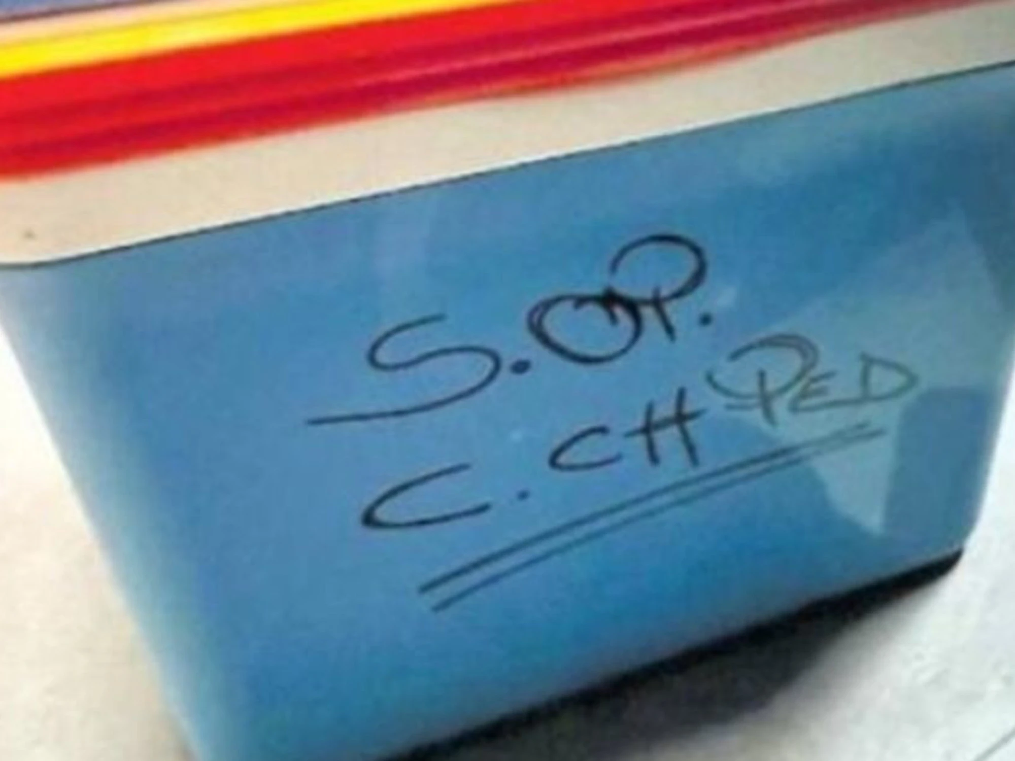 Domenico, il presagio del padre: "Quando ho visto quel frigo da pic-nic..."