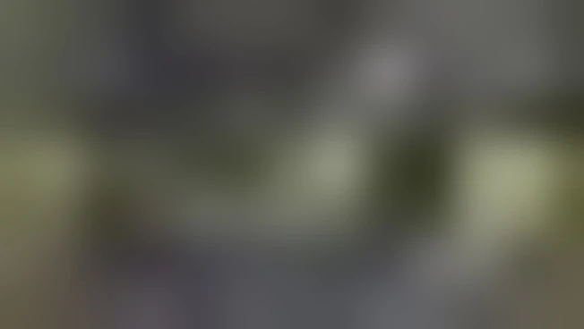 https://media.liberoquotidiano.it/scxqNkLpMm7S3Q7xnm9oqx6etwitESB1tjtVOENJS5w/width:800/quality:90/aW1hZ2VzLzIwMjYvMDkvMTkvMTAwMjM3NjI3LTRhZjgzNzY0LWU3MTEtNDFkNS05MzlkLTRlMDM4YWFjMjBlYS5qcGc.webp
