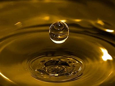 Certificazione Epd per l'olio italiano 'green', attribuita all'azienda Monini