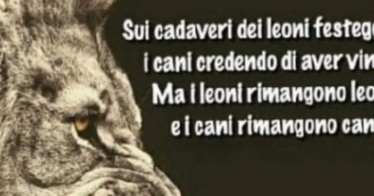 Il post virale contro l'odio su Berlusconi: "I leoni restano leoni e i cani..."