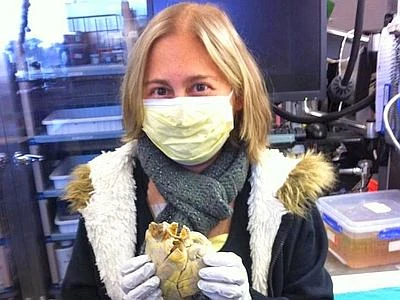 A Penny il trapianto è andato bene, ecco il cuore (rotto) da buttare