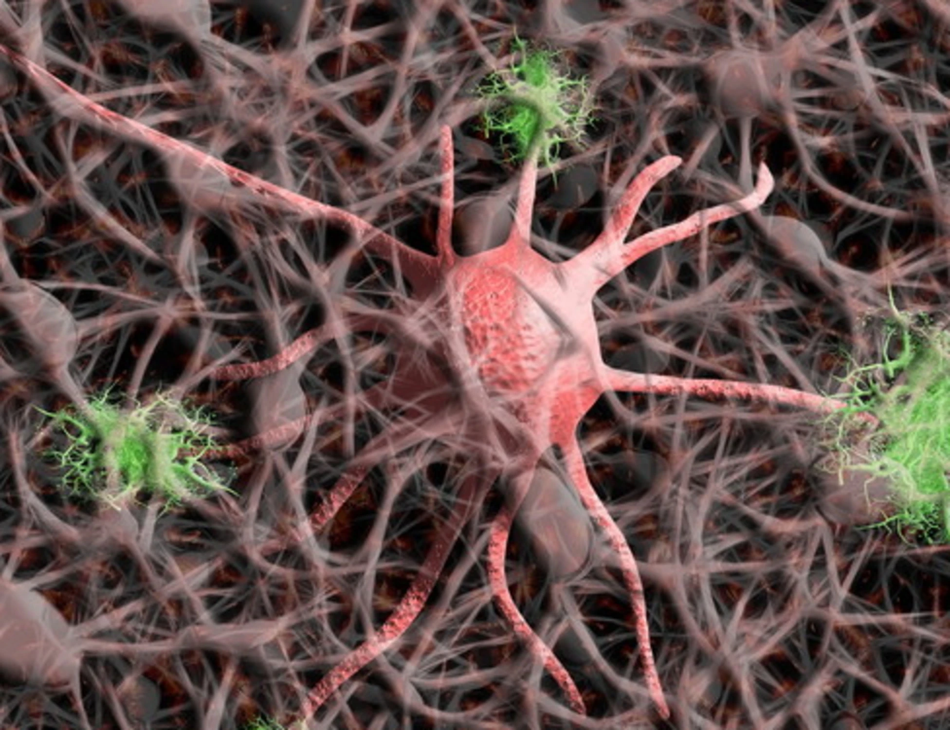 Alzheimer, il ruolo della madre: cosa emerge dagli studi