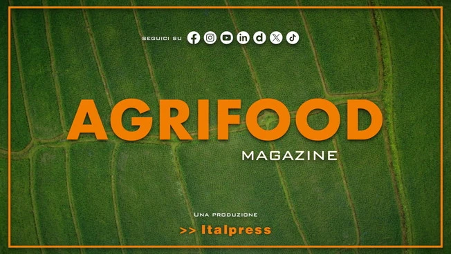 Agrifood Magazine - 26/11/2025