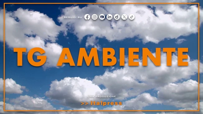Tg Ambiente - 10/5/2026