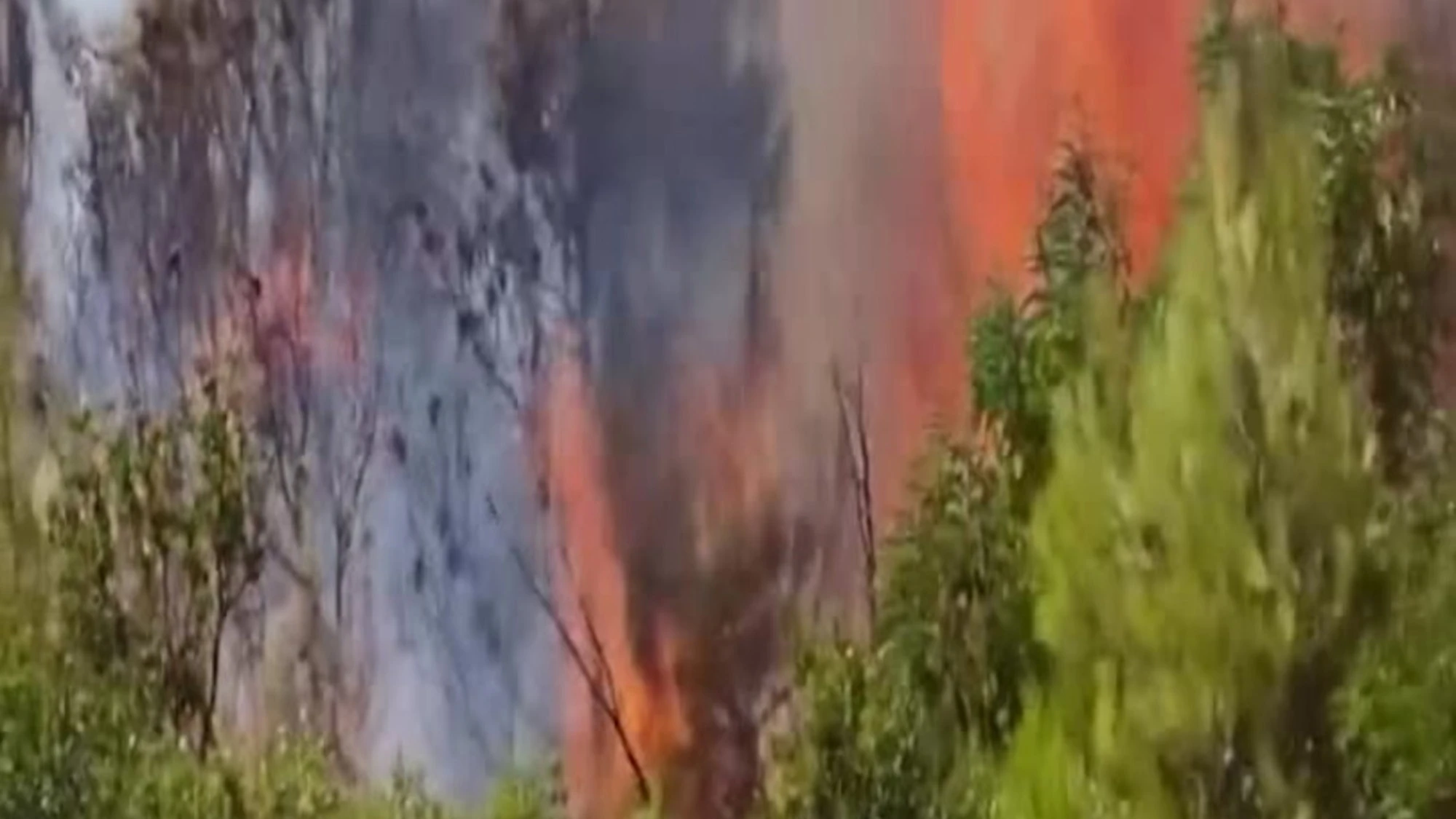 Grecia, inferno di fiamme: i turisti evacuati via mare