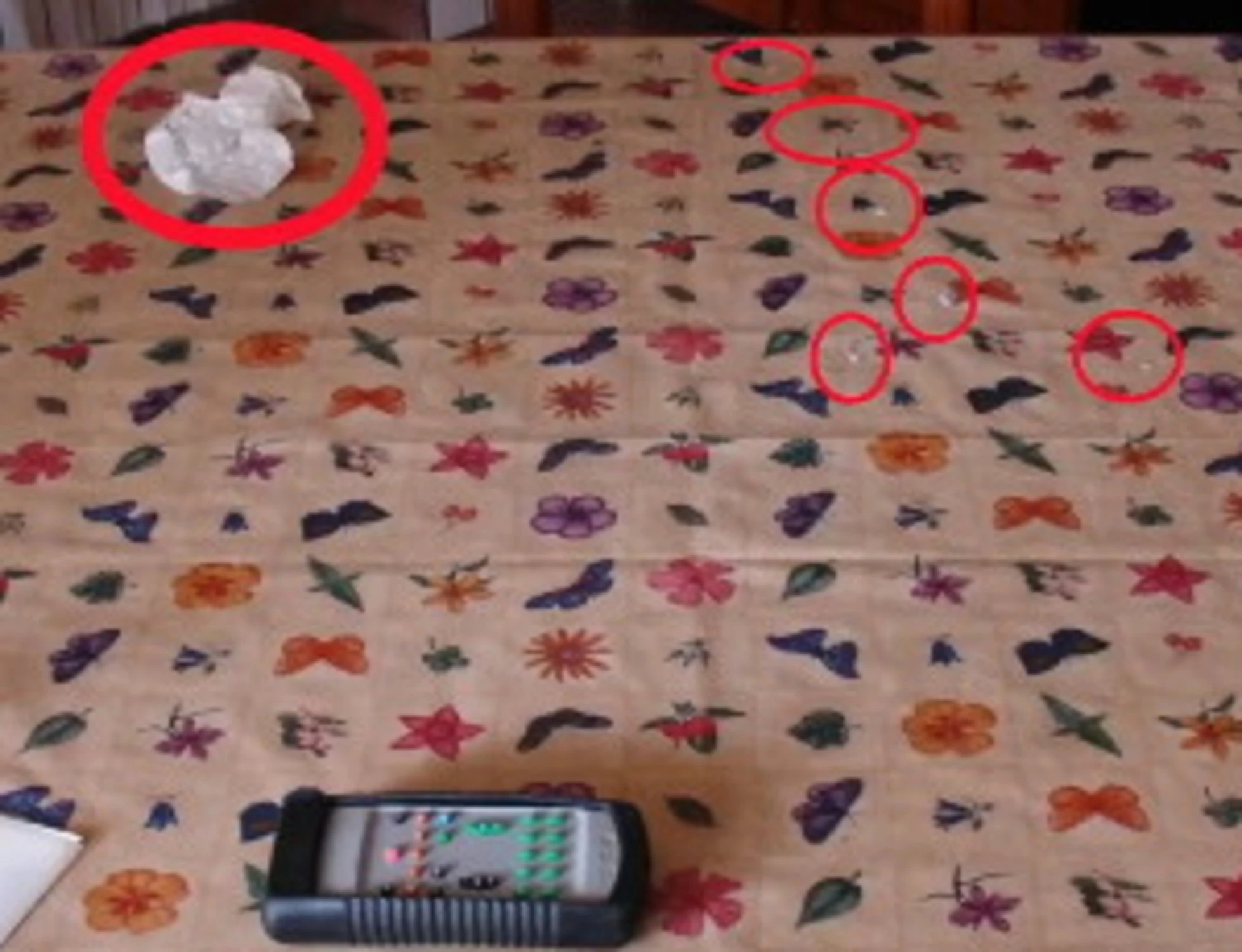 Garlasco, le palline di carta sul tavolo dei Poggi: l'ultimo mistero