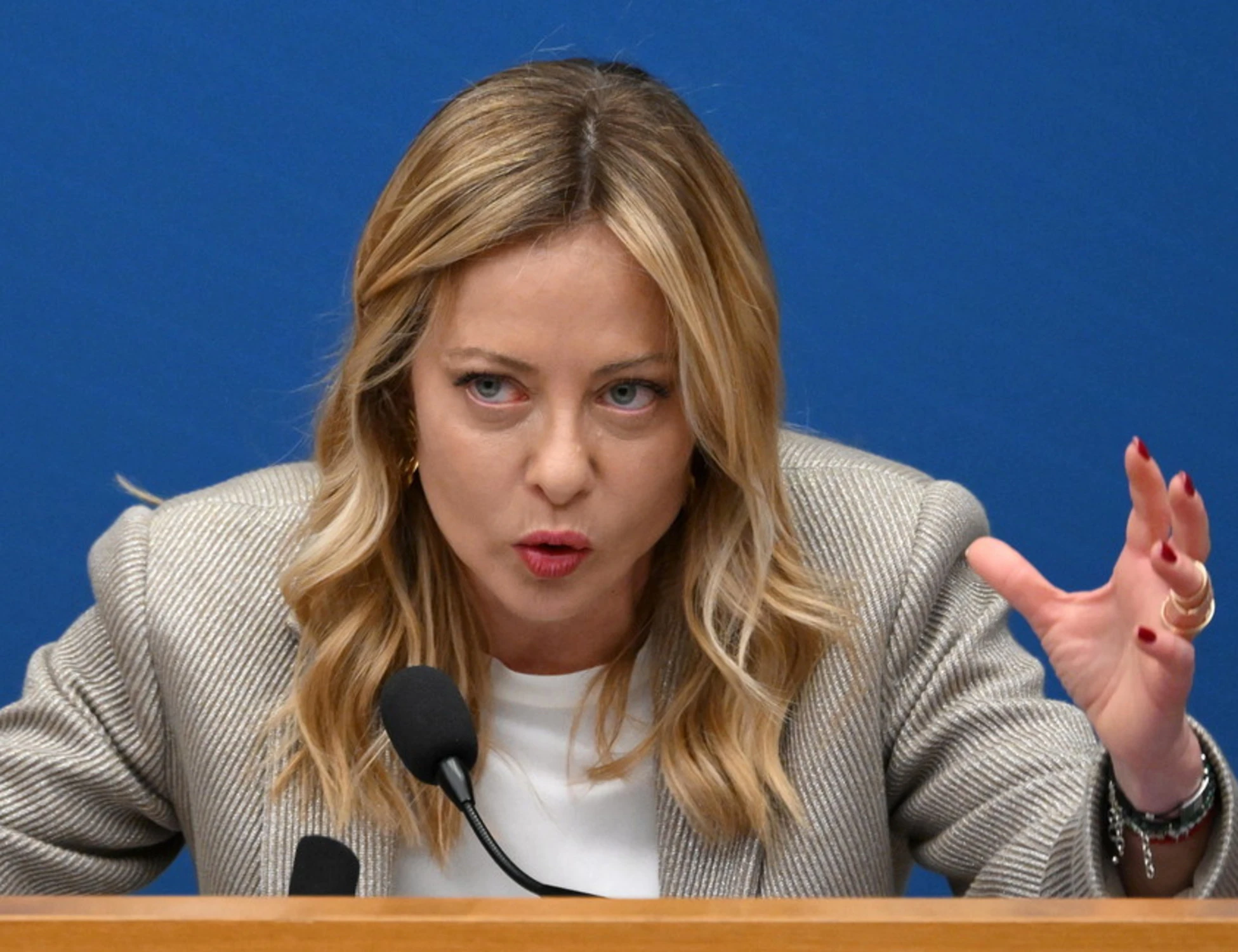 Giorgia Meloni e l'appello ai signori del No