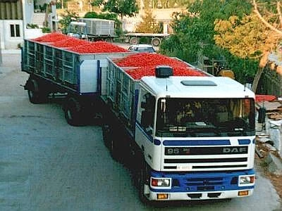 Ai valichi stradali tra Italia e Svizzera 1.171.000 veicoli pesanti nel 2030