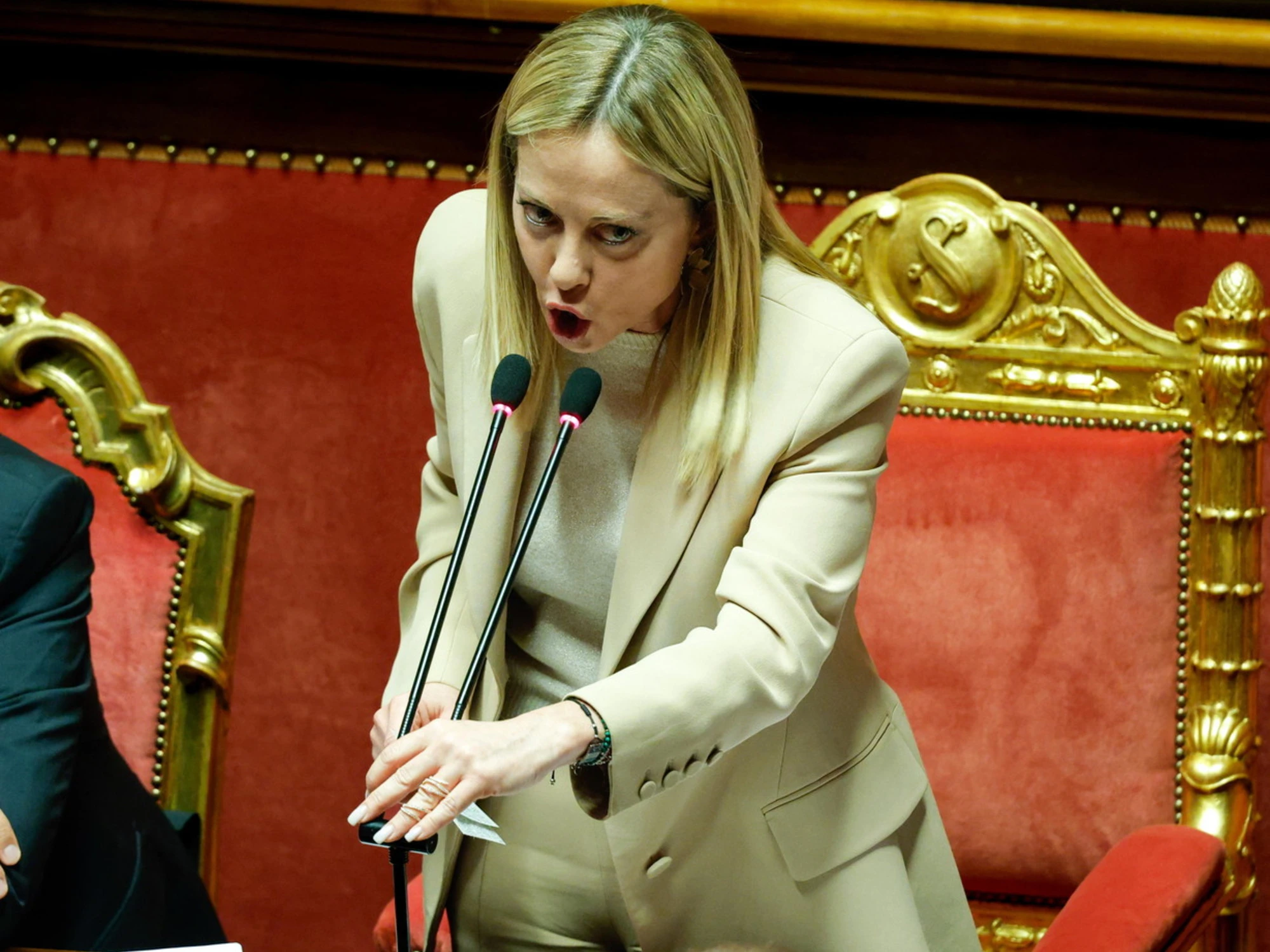 "Meloni cheerleader? Ignoranti": l'esperta travolge la Maiorino