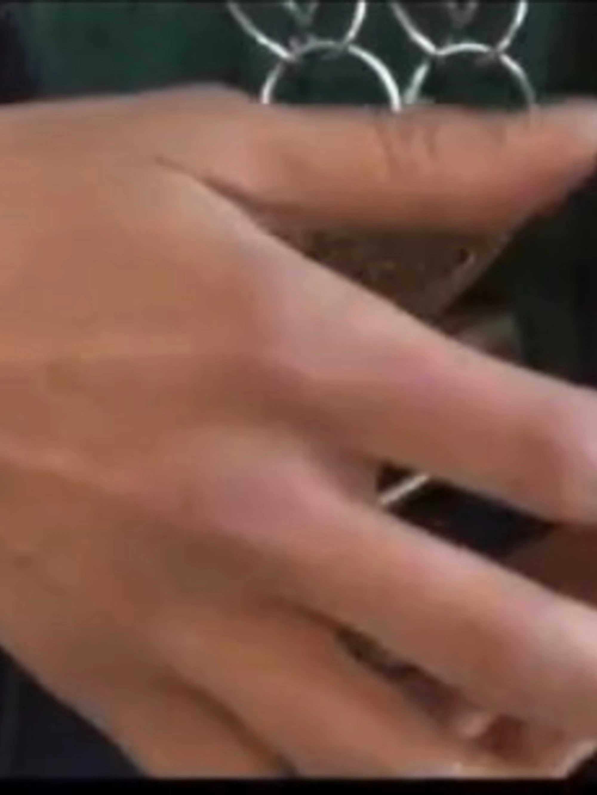 Katharina Zeller, "non mi piace molto": altro sfregio al tricolore, il video