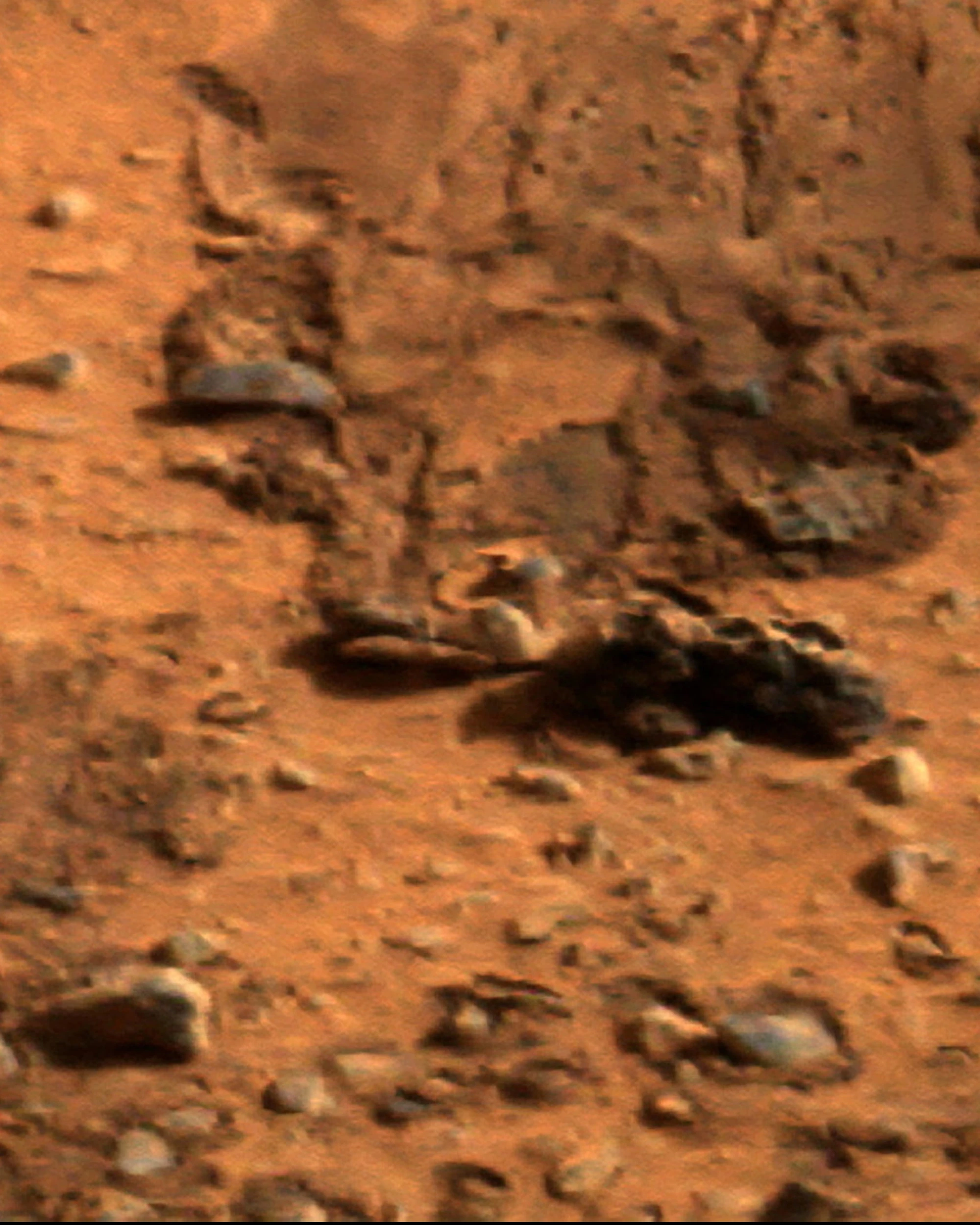 Marte, c'è davvero vita: la scoperta della Nasa