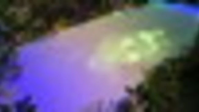 Claude Monet, a Milano una mostra immersiva a 100 anni dalla morte