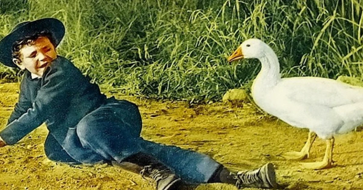 "La legge del signore", una bella storia americana raccontata nel migliore dei modi