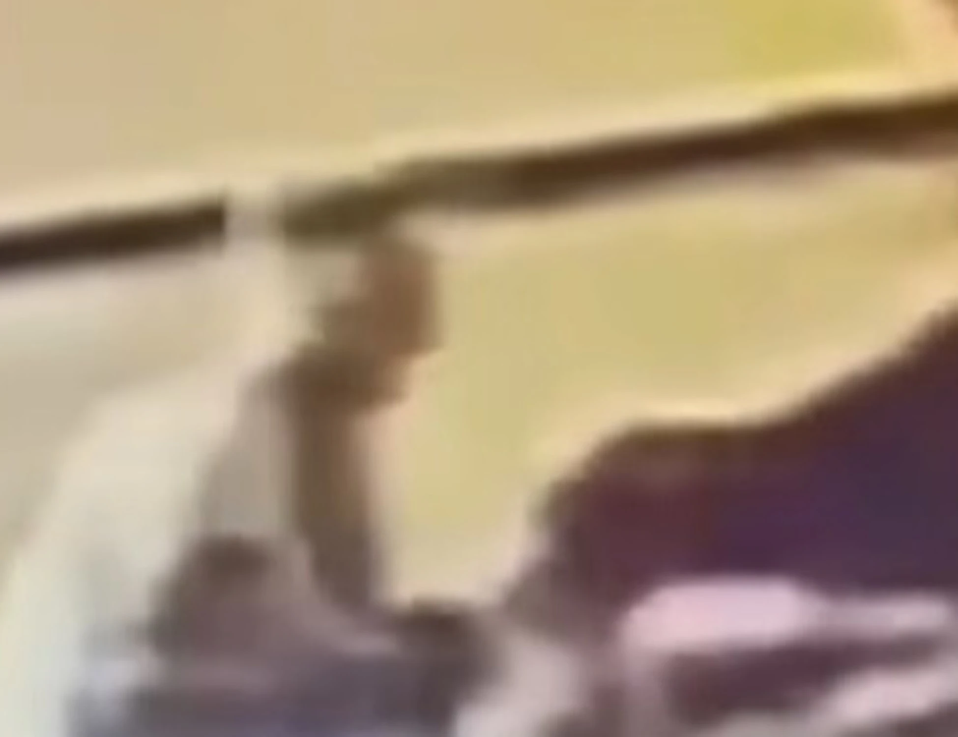 70enne azzanna pitbull al collo per salvarsi: il video-choc