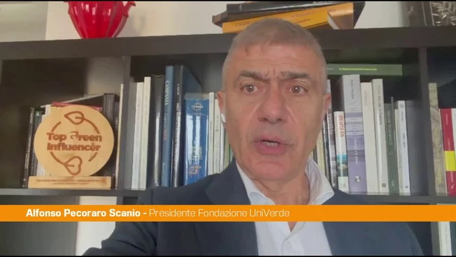 Pecoraro Scanio "Al Senato passo fondamentale per area marina protetta di Capri"
