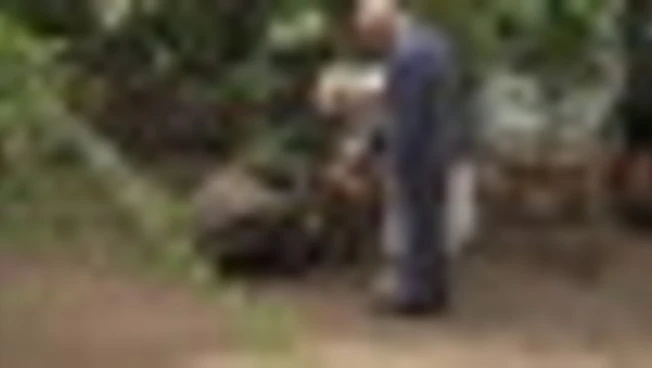 Carlo e Camilla allo zoo di Londra: dalla tartaruga Polly ai pinguini