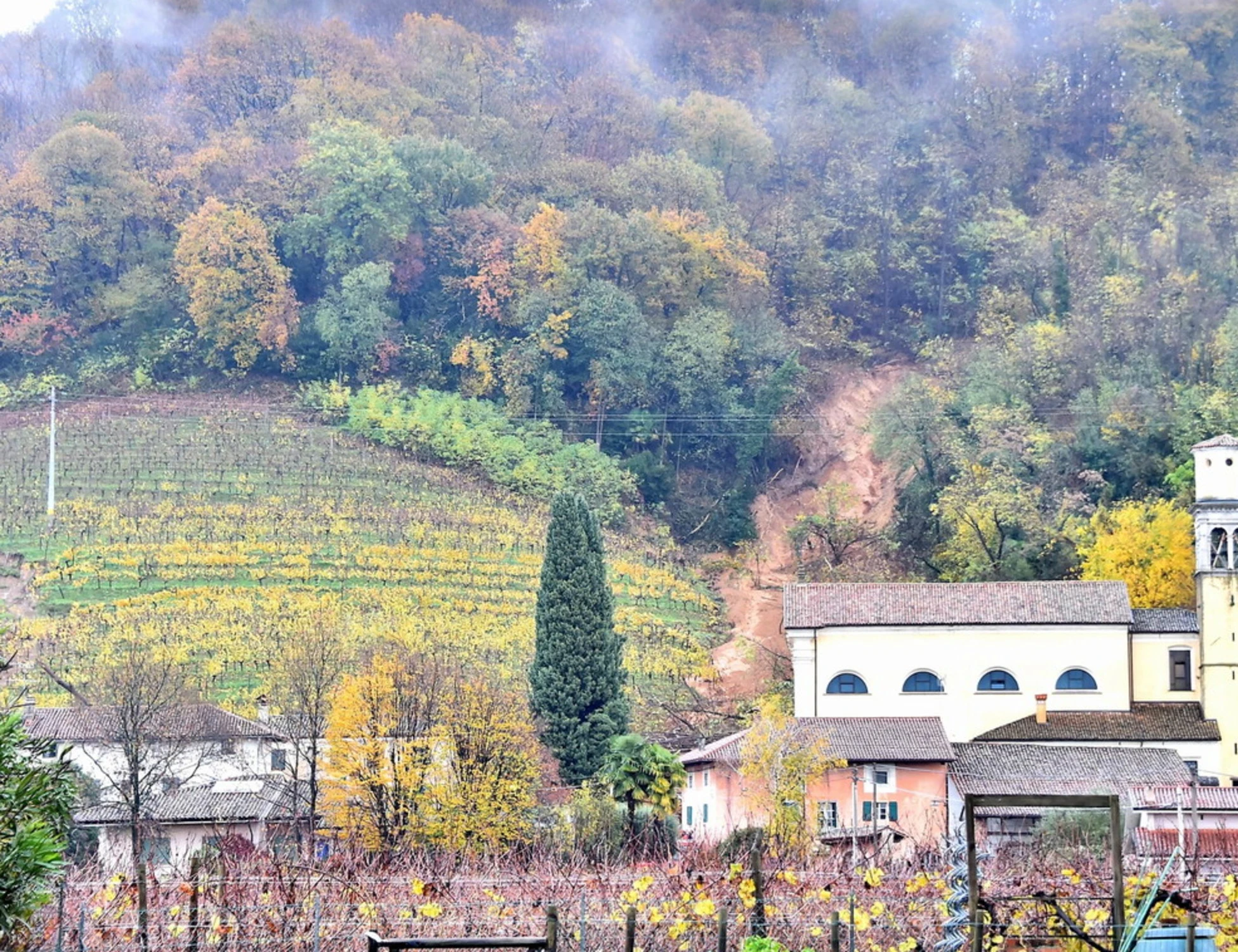 Cormons, donna azzannata dai suoi cani in casa: come l'hanno ritrovata