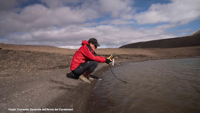 Un piccolo crostaceo rivela come sta cambiando il clima nell'Artico