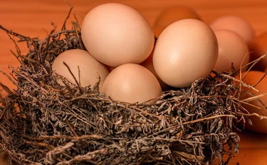 Uova, non devi mai lavarle: contaminazioni, cosa rischi