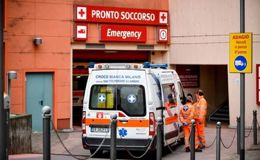 Ostia, muore dopo la puntura di un ragno violino