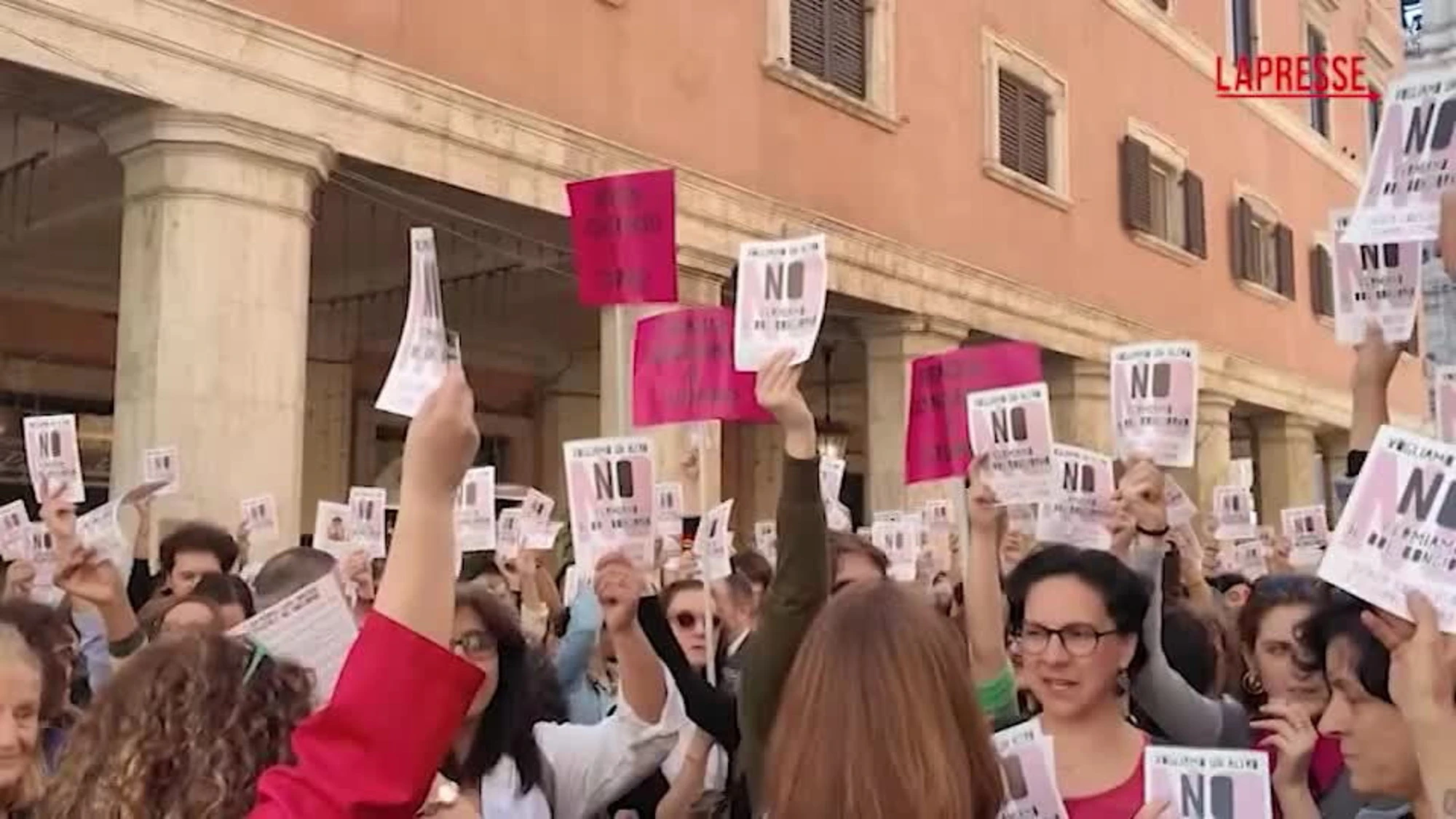 Ddl violenza donne, bagarre femminista davanti al Senato