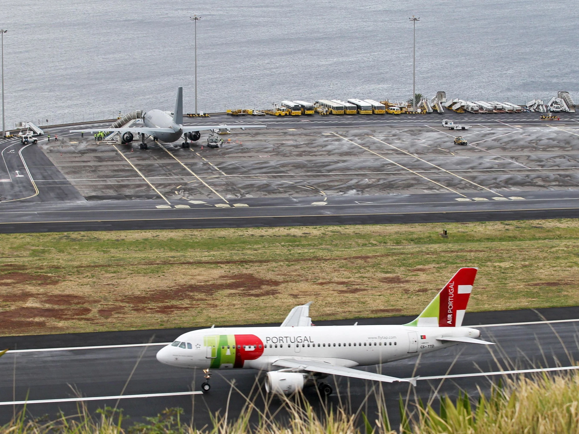 Fiumicino, la coda dell'Airbus gratta la pista: minuti di terrore e atterraggio d'emergenza