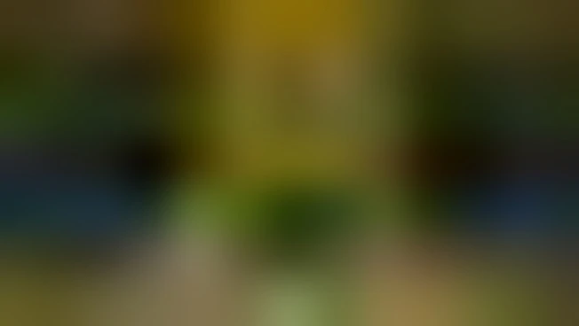 https://media.liberoquotidiano.it/tdRAZGhwBD6WQGuqLWgsFw11ldJ6Zma8ol8GY6el8T4/width:800/quality:90/aW1hZ2VzLzIwMjUvMDkvMjYvMTQ0NjE5OTQ3LTU0NTY3ZWVkLTVhZDEtNGM5Yy04ZWQ5LTlkNmE1ZjA2ZGQ0My5qcGc.webp
