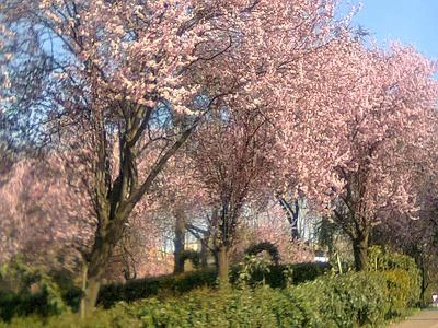 Sole e caldo, la primavera è arrivata ma è in agguato la maledizione del weekend