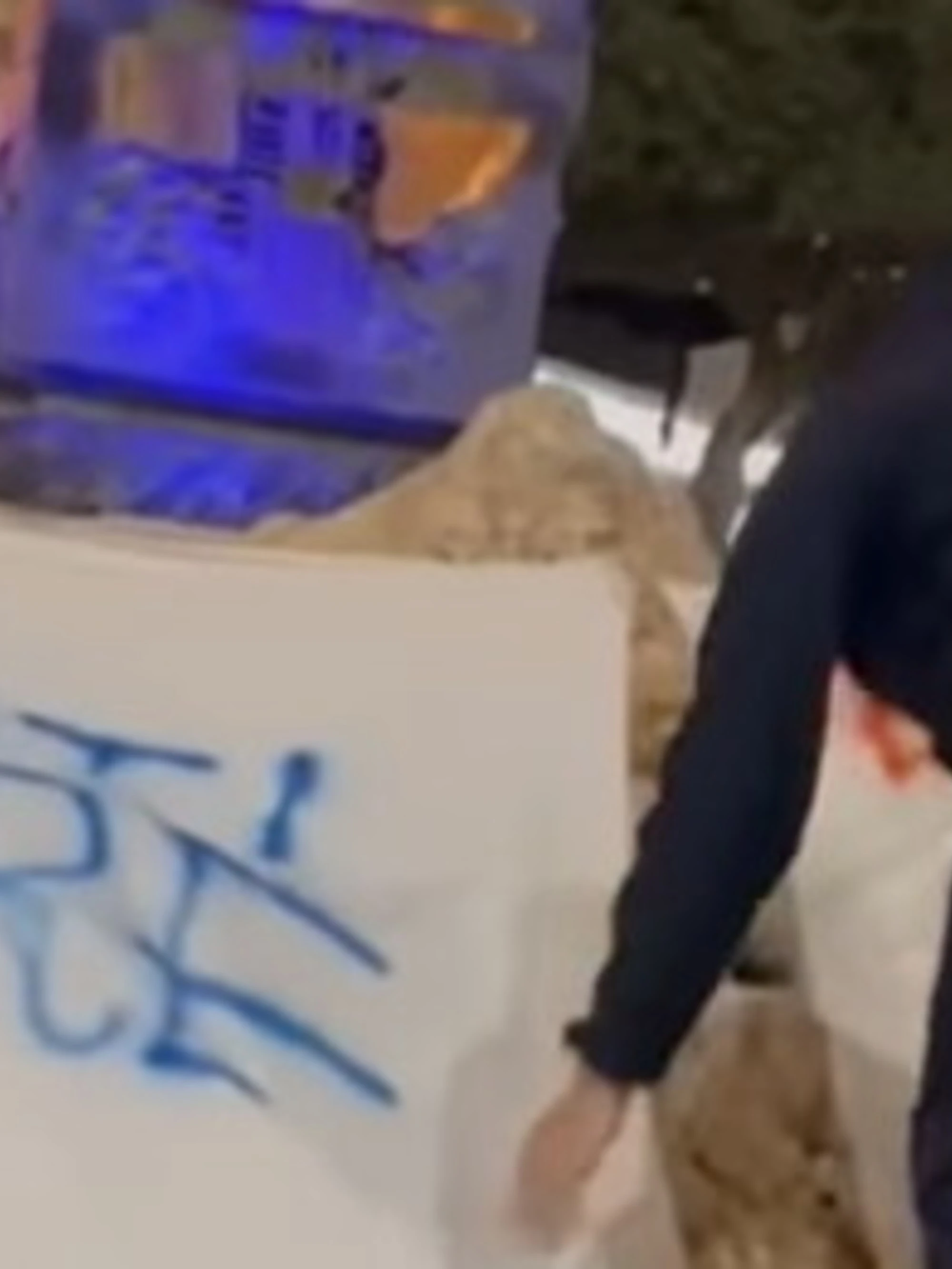 Lampedusa, blitz del vicesindaco leghista: "Fatelo a casa vostra", rimossi gli striscioni delle Ong