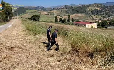 Messina, tre cacciatori morti in un boco: corpi crivellati da colpi di pistola