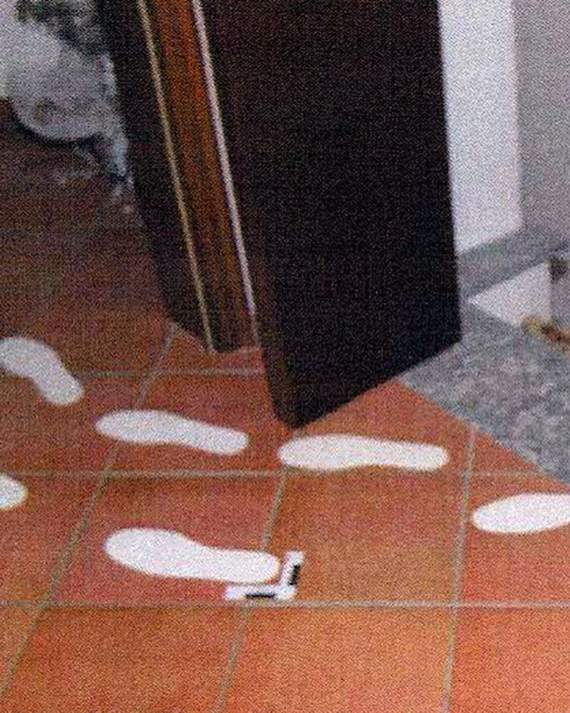 Garlasco, spunta una nuova traccia mai repertata: "Forse..."