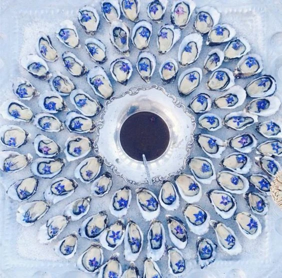 564x556