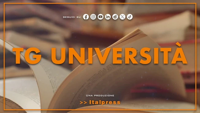 Tg Università - 24/3/2026