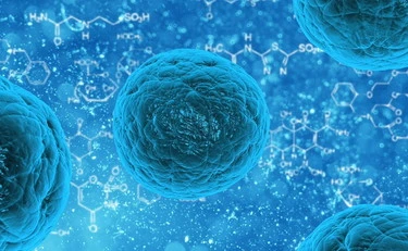 Meningite, ecco tutti i sintomi da riconoscere subito