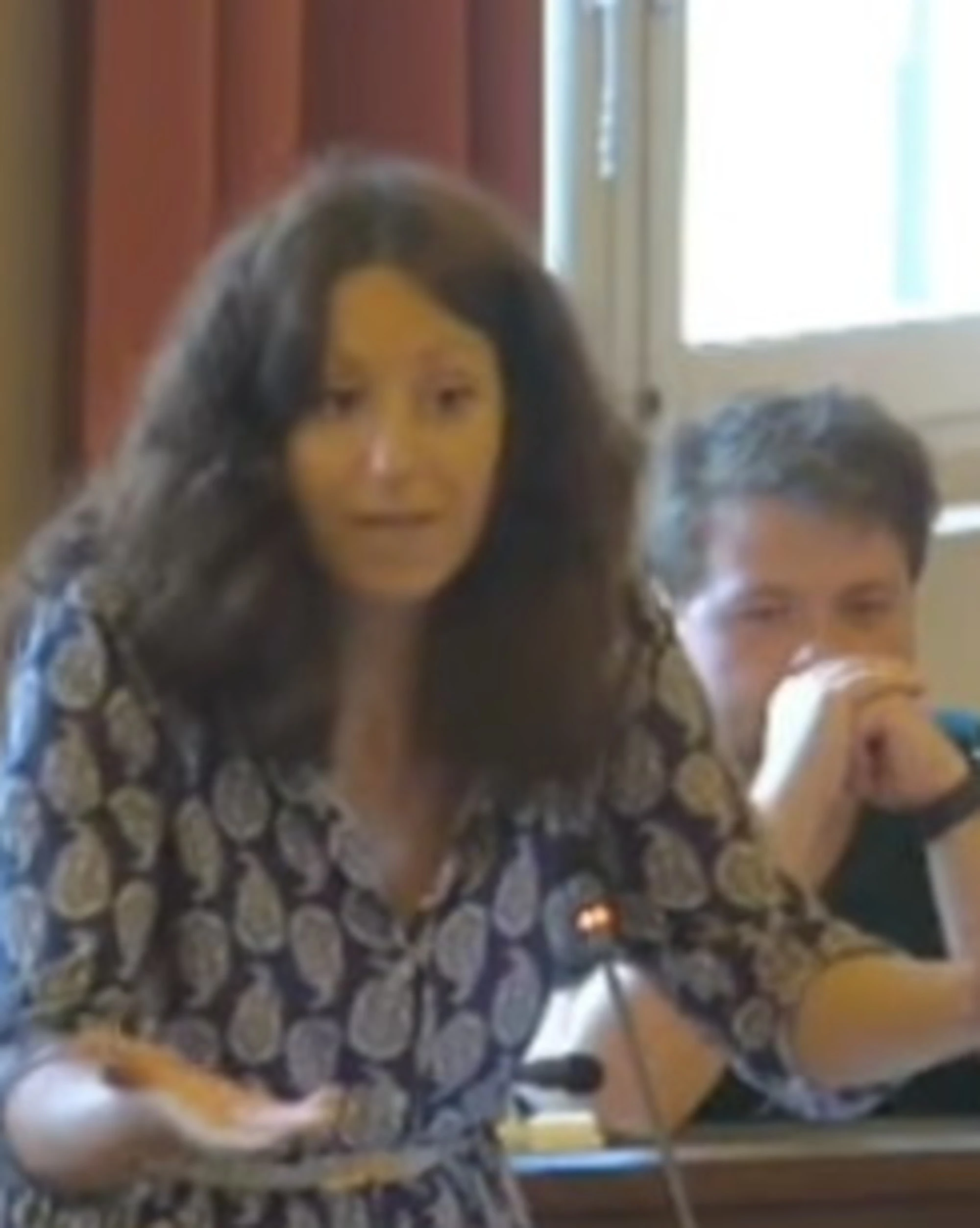 Modena, la consigliera del Pd insulta il collega di FdI: "Torni nelle fogne"