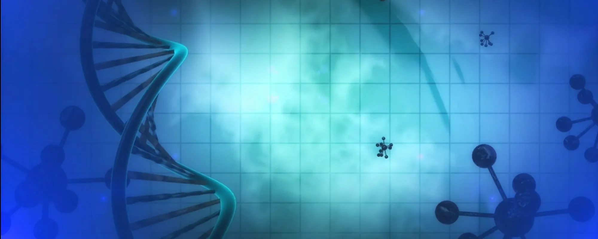 Il "muro" del cancro al polmone: cosa succede nel nostro corpo