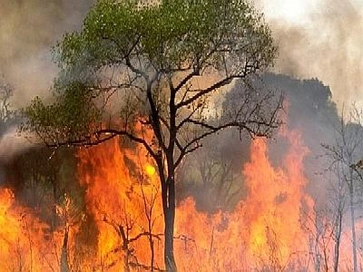 'Preveniamo gli incendi', i cittadini diventano guardiani del territorio