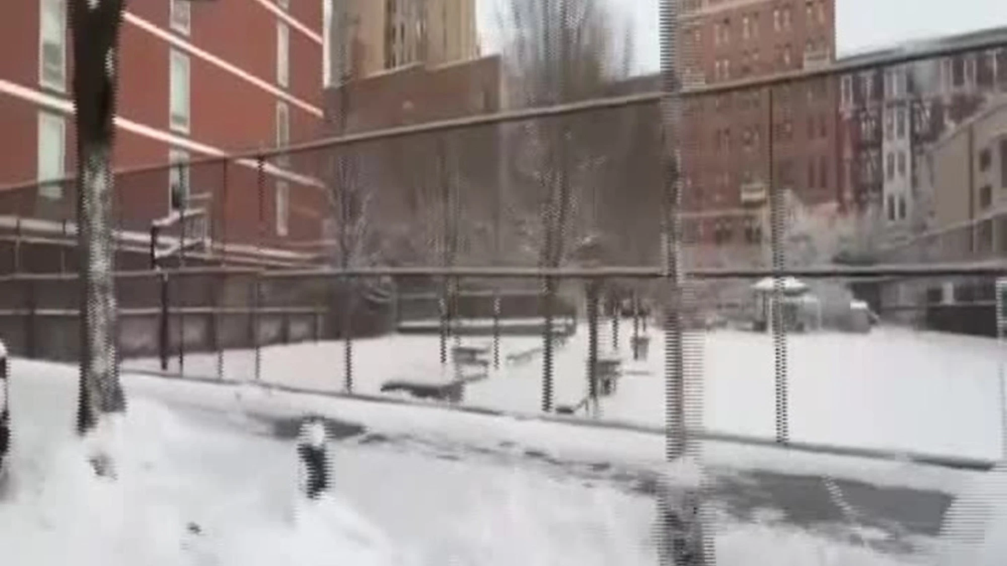 New York paralizzata dalla tempesta di neve