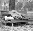 Vip senzatetto per beneficenza