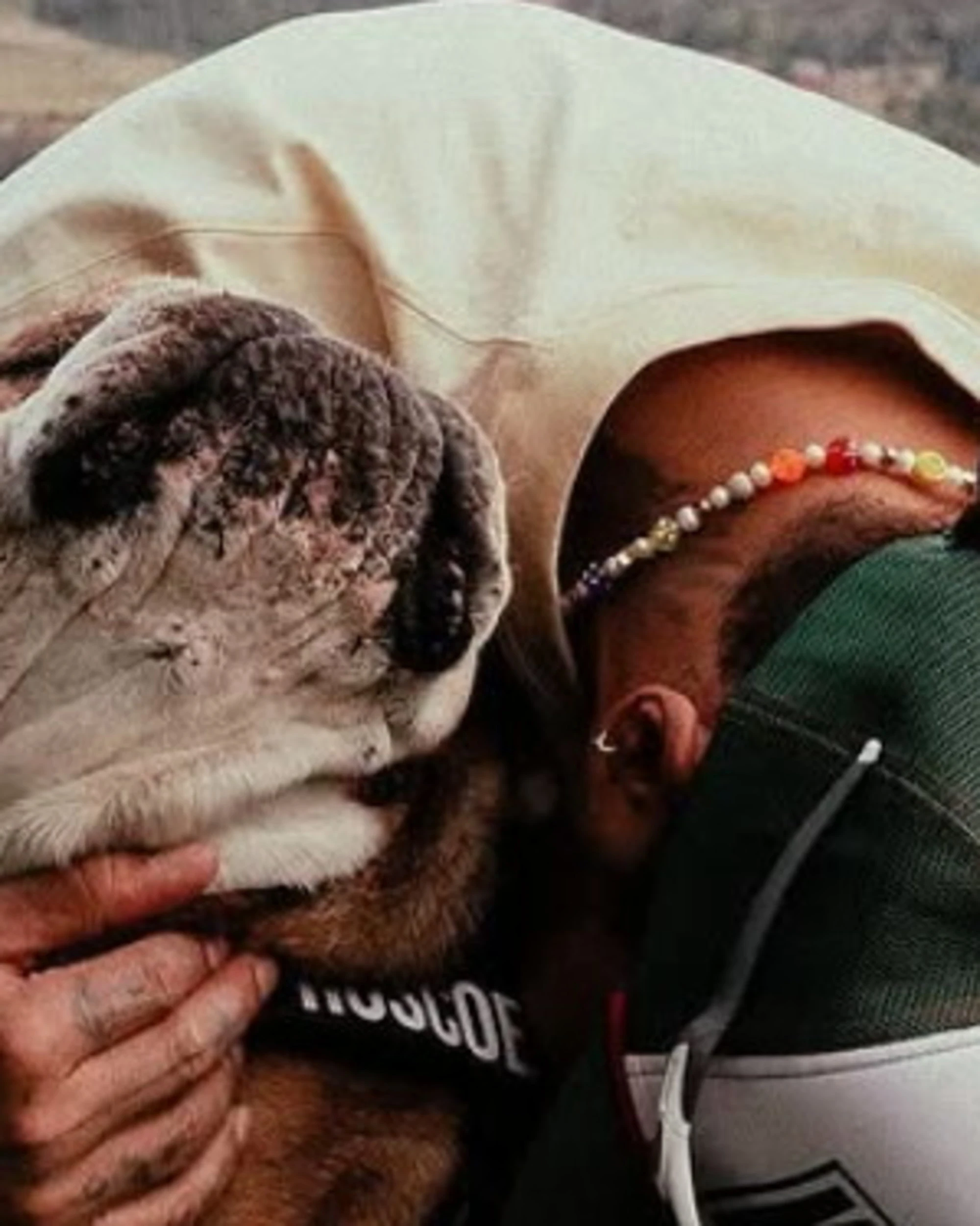 Lewis Hamilton, "Rosco è morto tra le mie braccia": un'addio straziante