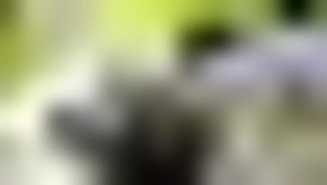 https://media.liberoquotidiano.it/uJ-WW4_ick5kewJeQk49euB3XGbbqYpU3yvTHybmdFc/width:800/quality:90/aW1hZ2VzLzIwMjYvMDUvMDQvMTc1MTU0ODczLTg0MDFjYTVjLWI2OTEtNGU2Ni05MjY4LWI0NDkxMTNkMjdhZC5qcGc.webp