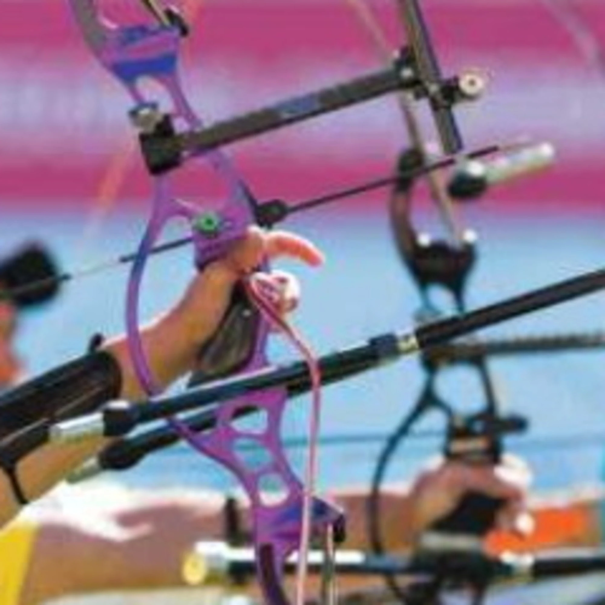 L'attività venatoria si unisce allo sport e al made in Italy