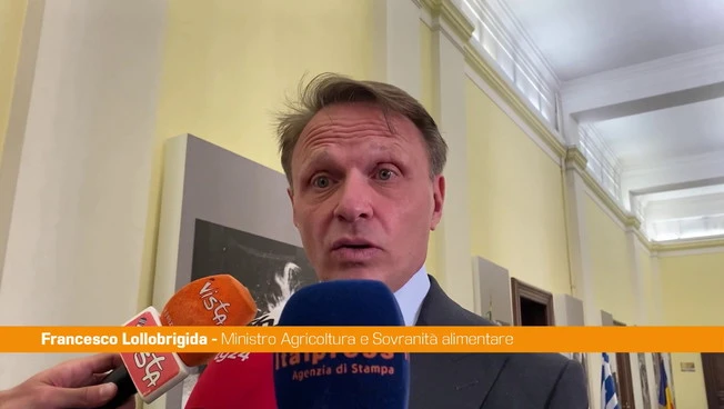 Agrofarmaci, Lollobrigida "Lavoriamo per proteggere nostro sistema produttivo"