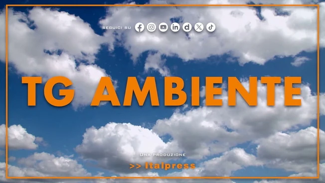 Tg Ambiente - 12/7/2026