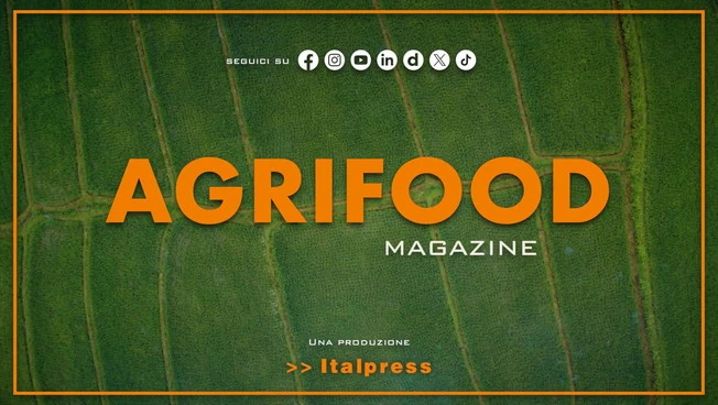 Agrifood Magazine - 4/2/2026