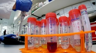 Coronavirus, la nuova mutazione "più mortale, fino al 30% in più". L'indiscrezione che getta l'Europa nel panico